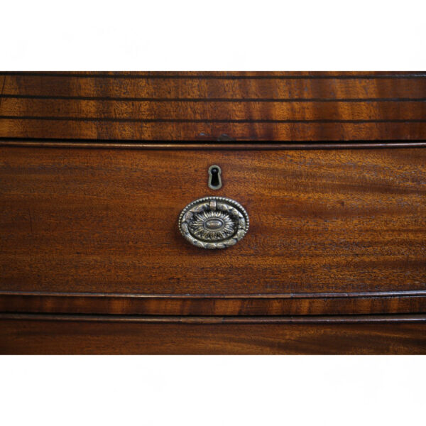 Two over Two Mahogany Batchelor's Chest - Image 2