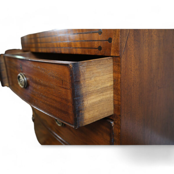 Two over Two Mahogany Batchelor's Chest - Image 3