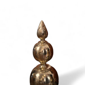 Brass Andirons with Lion Head Detail